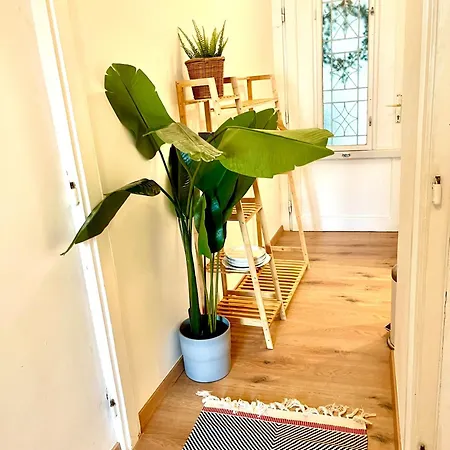 Butique Flat At Downtown